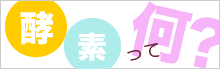 酵素って何?